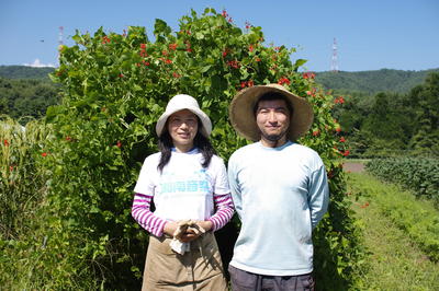 50種類の有機野菜を栽培する農家に