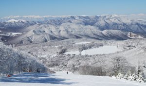 【立科町への移住のチャンス！】地域おこし協力隊２名募集します☆★